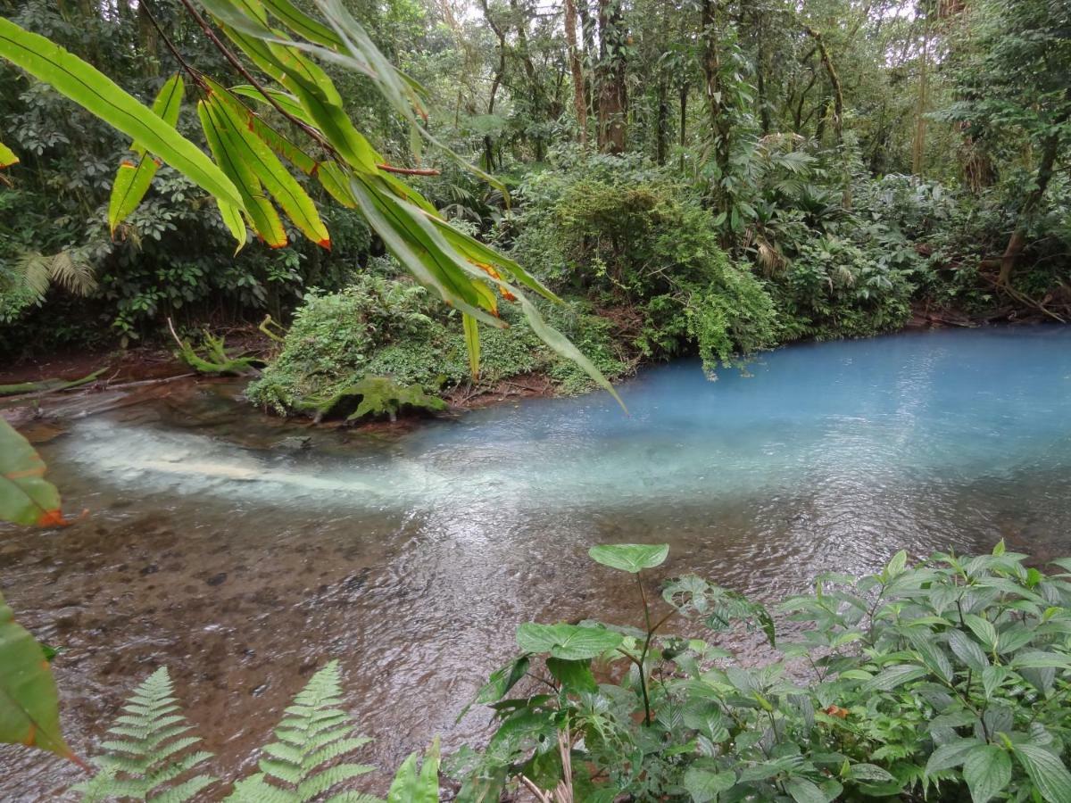 Hotel Rio Celeste Finca L' Etoile Celeste El Achiote Zewnętrze zdjęcie