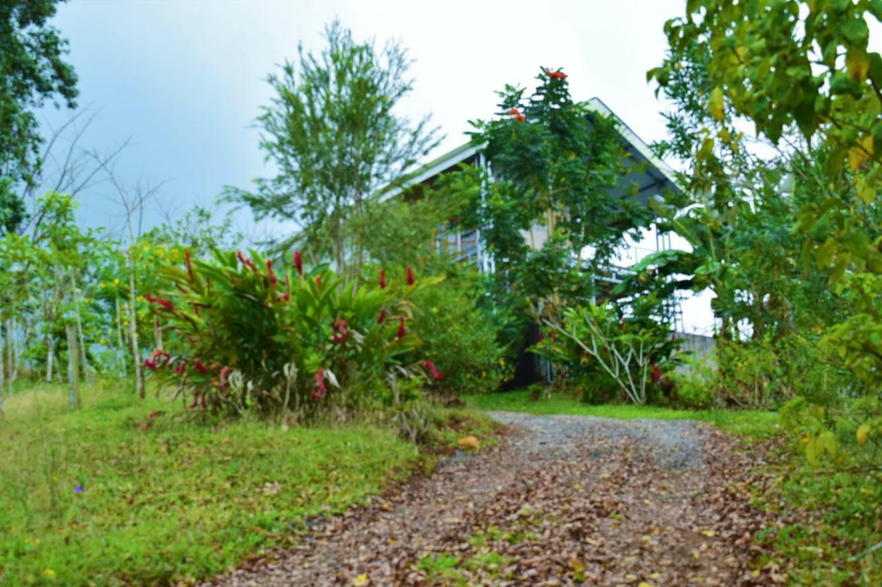 Hotel Rio Celeste Finca L' Etoile Celeste El Achiote Zewnętrze zdjęcie