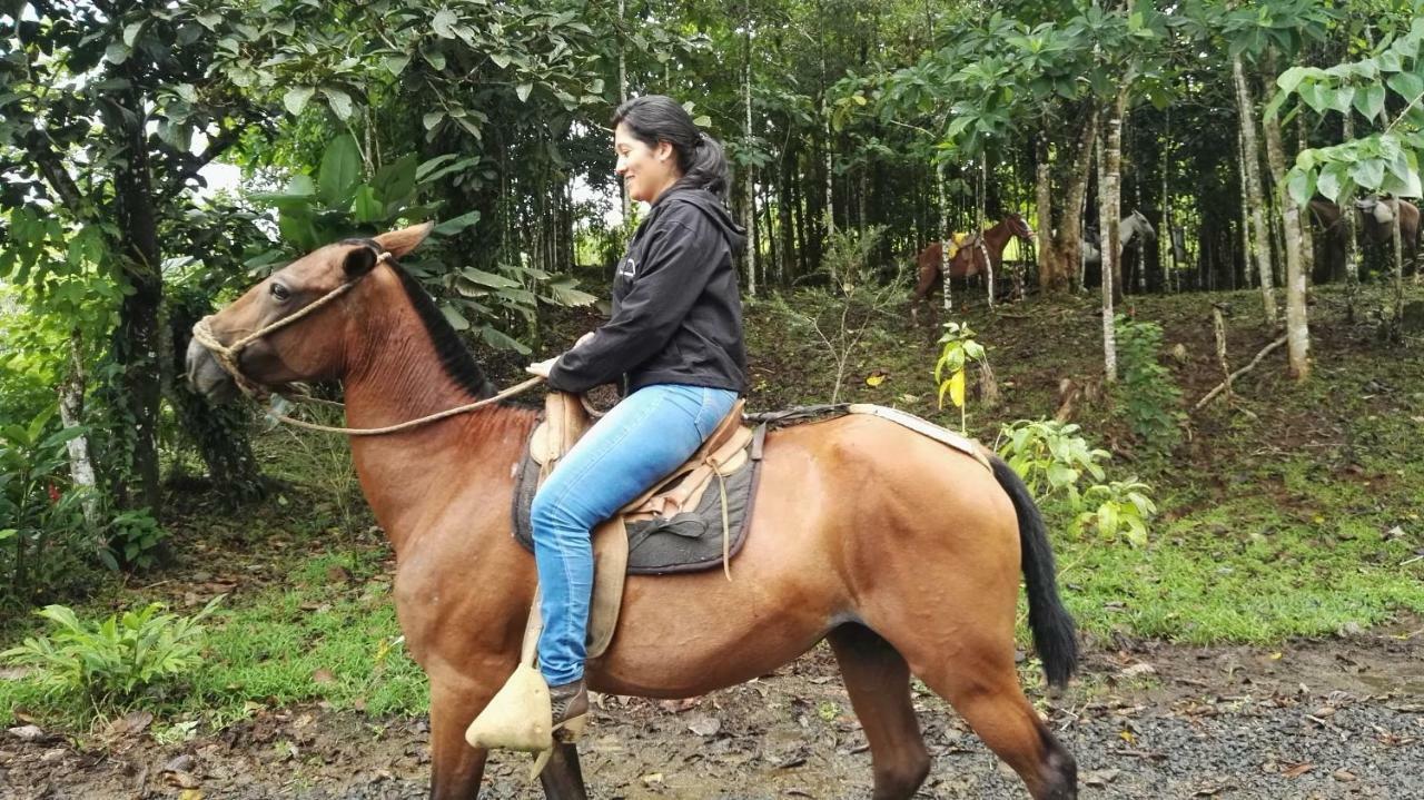 Hotel Rio Celeste Finca L' Etoile Celeste El Achiote Zewnętrze zdjęcie