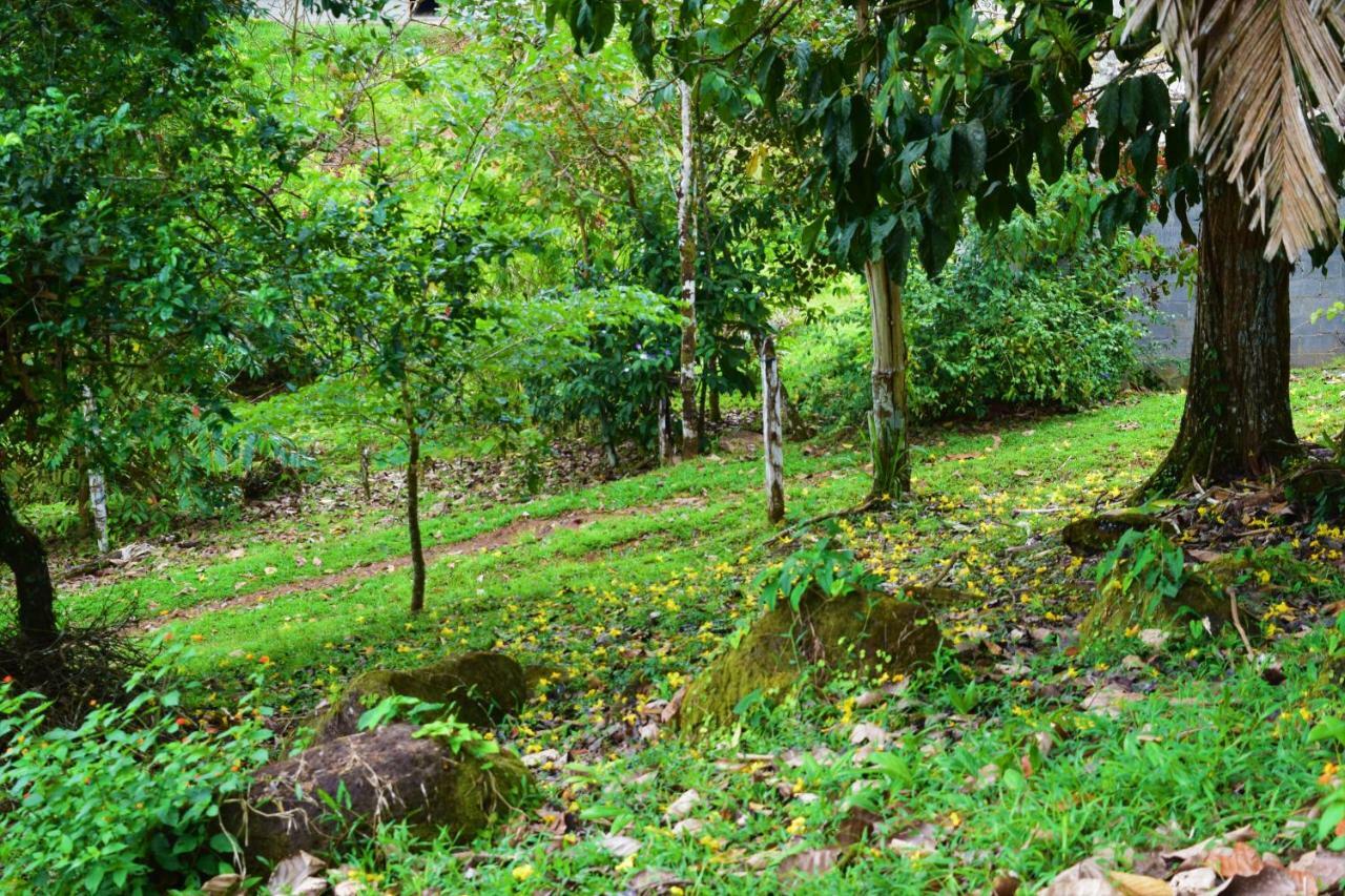 Hotel Rio Celeste Finca L' Etoile Celeste El Achiote Zewnętrze zdjęcie